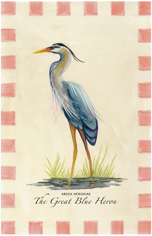 Great Blue Heron 6x9 Print