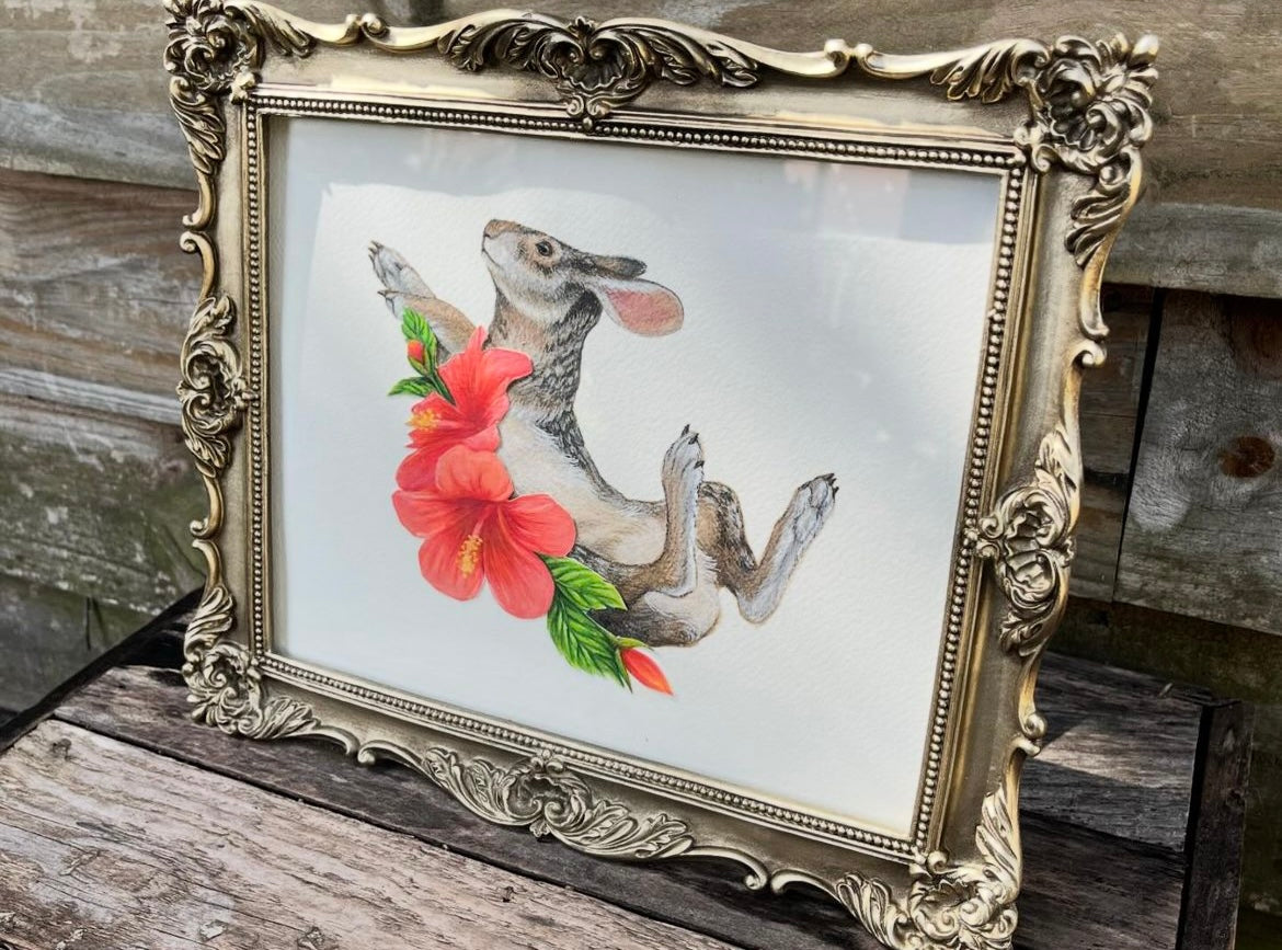 Marsh Rabbit and Hibiscus