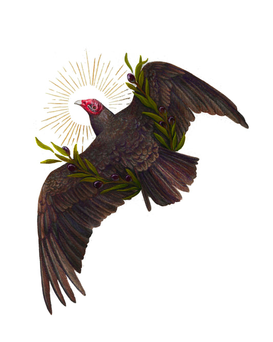 Turkey Vulture and Olive Branch