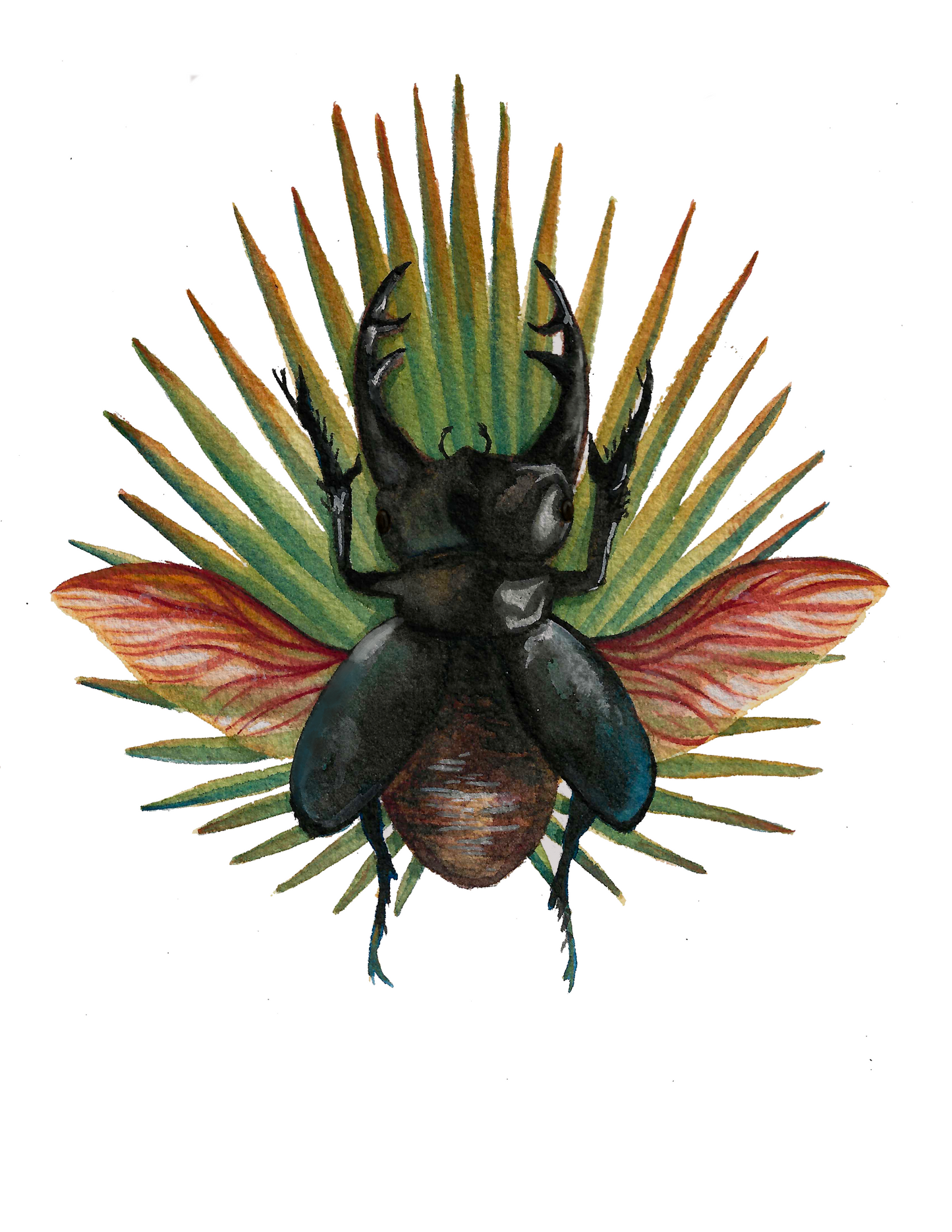 Stag Beetle and Saw Palmetto